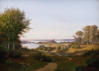 Uitzicht op de heuvel bij Skanderborg Kasteel, Jutland, en het monument voor Frederik VI door Andreas Juuel
