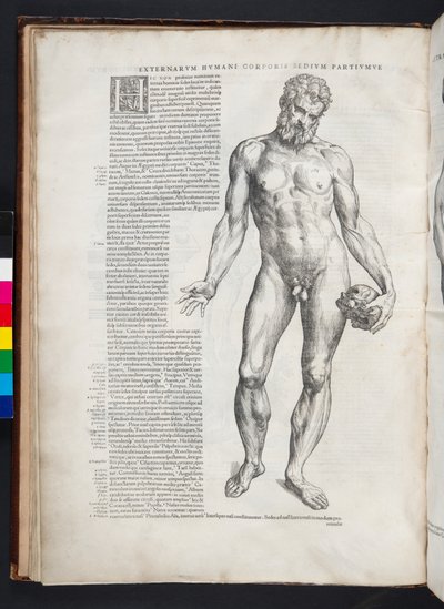 Hercules, illustratie uit 