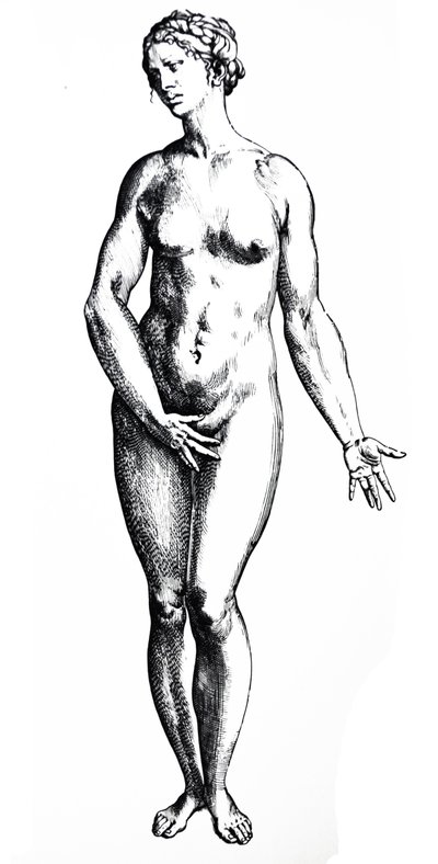 De platen uit het zevende boek van de De Humani Corporis Fabrica door Andreas Vesalius