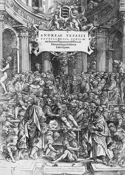 Titelpagina van De humani corporis fabrica, waar Andreas Vesalius wordt afgebeeld terwijl hij een kadaver ontleedt door Andreas Vesalius