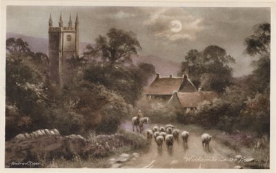 Dartmoor: Widdicombe-in-the Moor (kleurenfoto) door Andrew Beer