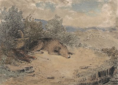 Schaapshond slapend in een landschap door Andrew Geddes