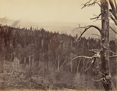 Plaat 13. Sneeuw en houtlijn, Laramie Mountains,1869 (foto) door Andrew Joseph Russell
