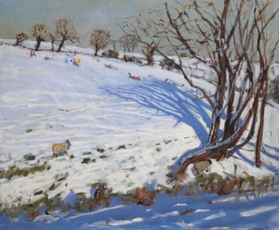  door Andrew Macara