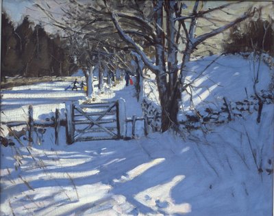 Poort bij Youlgreave, Derbyshire door Andrew Macara