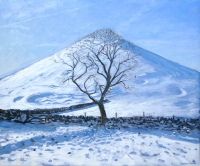 Heuvel en boom, Derbyshire, 2008 door Andrew Macara