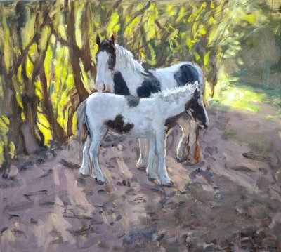 Merrie en Veulen door Andrew Macara
