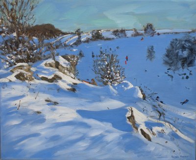  door Andrew Macara