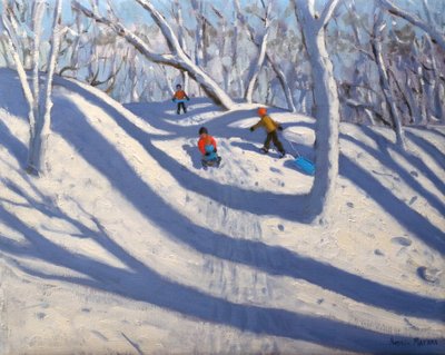 Winter, Bramcote, Nottingham, 2009 door Andrew Macara