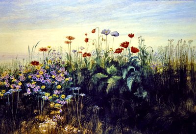 Wilde bloemen door Andrew Nicholl
