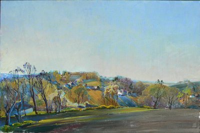 Zonnige Spring Hills door Andrii Kutsachenko