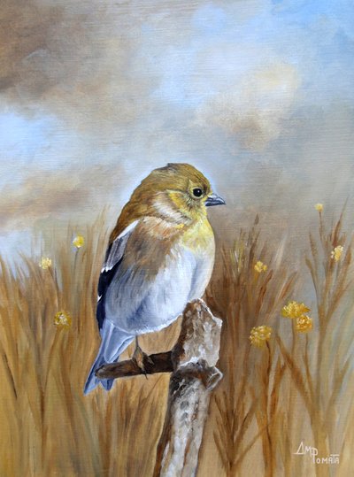 Herfstvink-zangvogel door Angeles M. Pomata