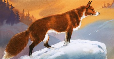 Vos in de sneeuw door Angus McBride