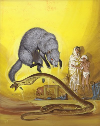 Mangoest doodt slang in Indiaas huis (gouache op papier) door Angus McBride