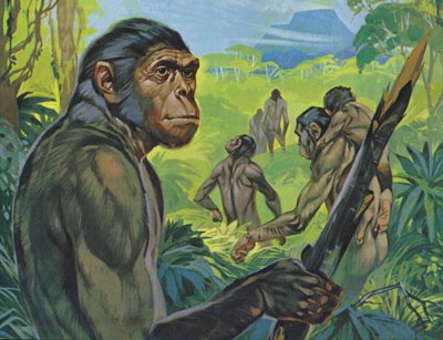 Pithecanthropus (kleurenlitho) door Angus McBride