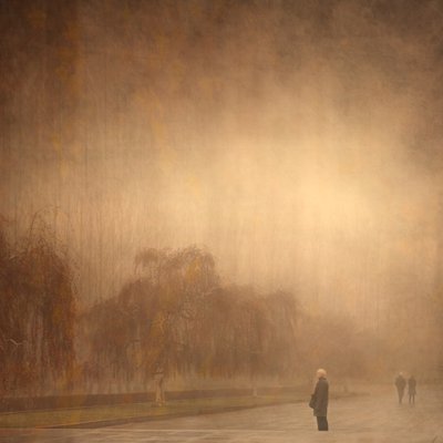 Een dromerige herfstwandeling door Anja Buehrer