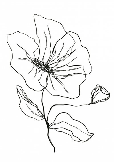 Fijne bloemenschets door Ankie Kooi