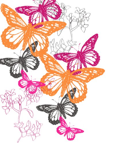 Vlinder door Anna Platts