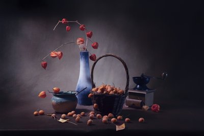  door Anna Qu