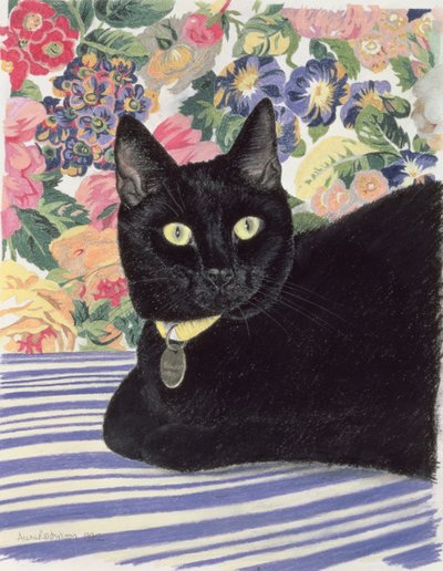Zwarte Kat door Anne Robinson