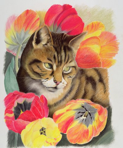 Gestreepte en tulp door Anne Robinson