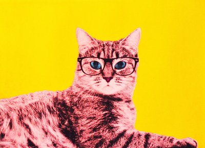 Leven in technicolor door Anne Storno