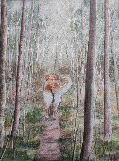 Wandeling door het bos met de hond door Annette Armitage