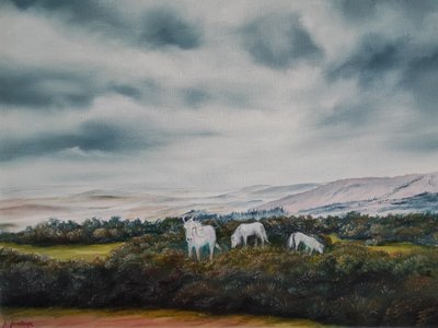 Serene Moorland-pony’s door Annette Armitage