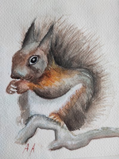 Achtige eekhoorn in aquarel door Annette Armitage