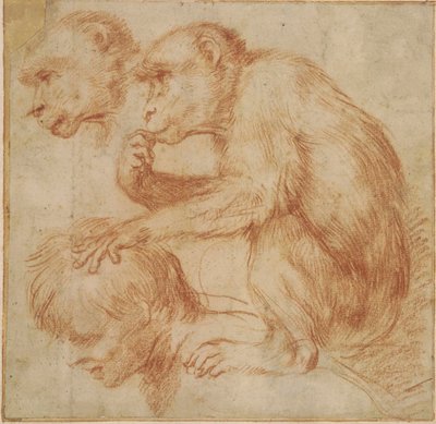 Carracci - Een aap op de schouders van een man in profiel naar links en een studie van zijn gezicht, studie voor een schilderij Rood krijt, Ff,2.115 door Annibale Carracci