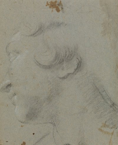 Carracci - r Hoofd van St Catherine, RCIN 902115 door Annibale Carracci