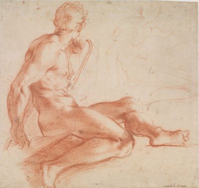 Sitzender männlicher Akt door Annibale Carracci