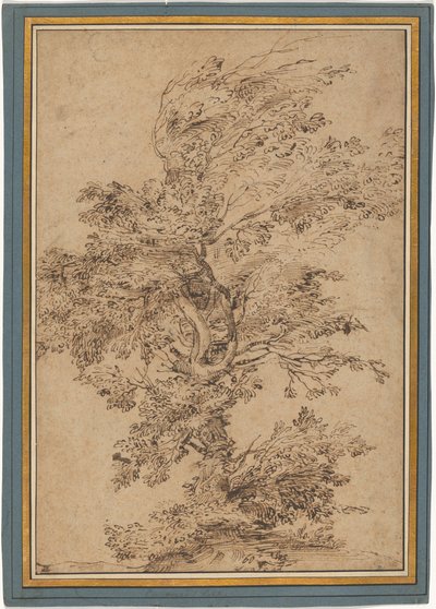 Studie eines Baumes door Annibale Carracci