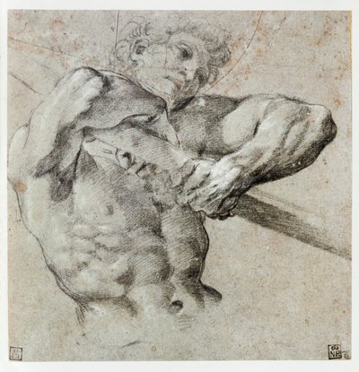 Studie van een mannelijke figuur ... door Annibale Carracci