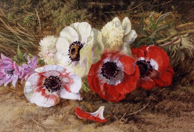  door Annie Feray Mutrie