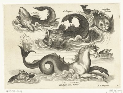Fantastische waterdieren, onder andere zeepaard (series title) door Anonymous