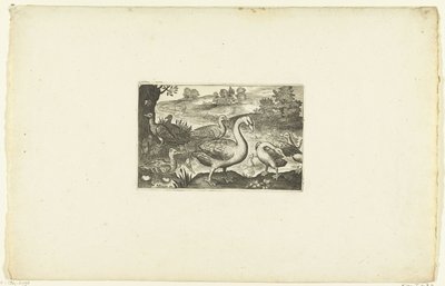 Ganzen en eenden bij een rivier door Anonymous