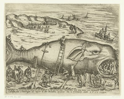 Gestrande walvis bij Berckhey, 1598 door Anonymous