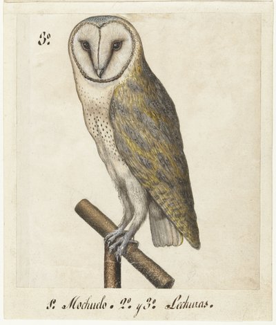 Kerkuil (Lombard album) door Anonymous