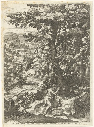 Landschap met Johannes de Doper door Anonymous