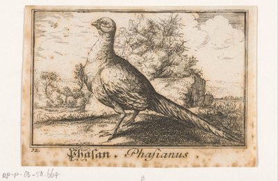 Landschap met fazant door Anonymous
