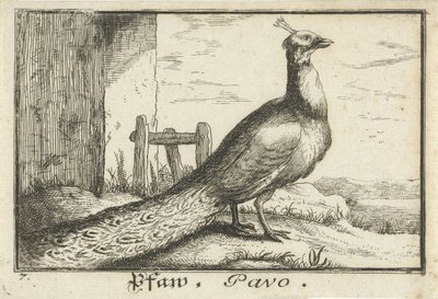Landschap met pauw door Anonymous