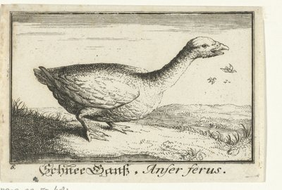 Landschap met wilde gans door Anonymous