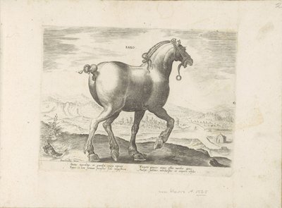 Paard uit Saksen door Anonymous