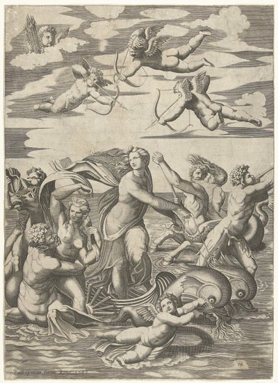 Triomf van Galatea met tritons en nereïden en putti door Anonymous