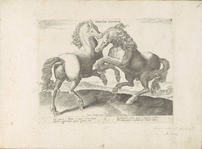 Twee vechtende paarden door Anonymous