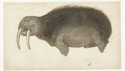Walrus (Lombard album) door Anonymous