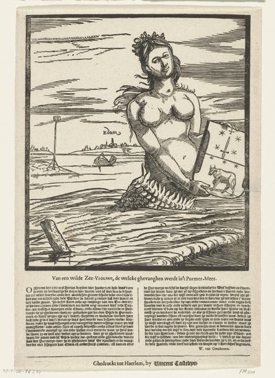Zeemeermin van Edam, 1403 door Anonymous