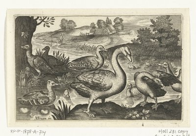 Zwaan en ganzen en eenden (Vogels en insecten) door Anonymous