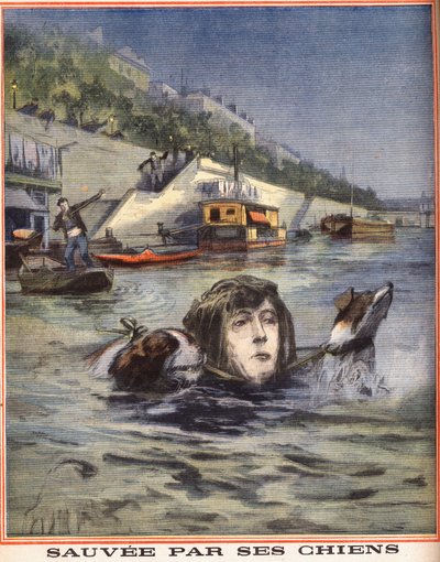 Een vrouw valt in de Seine en wordt gered door haar honden in Parijs. Gravure in "Le petit parisien" op 14/08/1910. Privécollectie. door Anonymous Anonymous